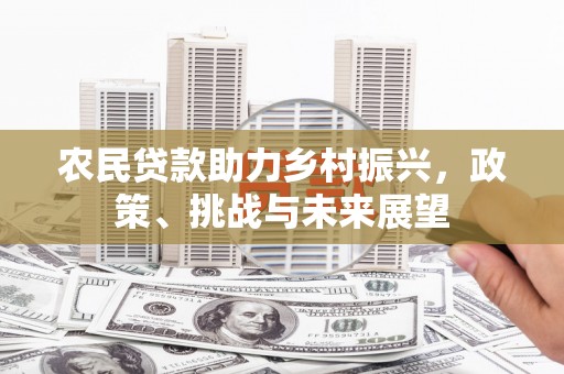 保税港区农民贷款助力乡村振兴，政策、挑战与未来展望