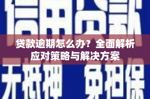 保税港区贷款逾期怎么办？全面解析应对策略与解决方案