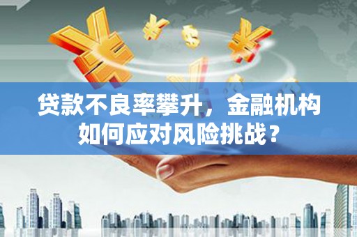 保税港区贷款不良率攀升，金融机构如何应对风险挑战？