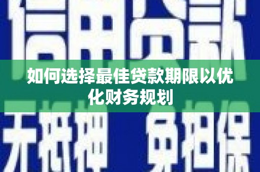 保税港区如何选择最佳贷款期限以优化财务规划