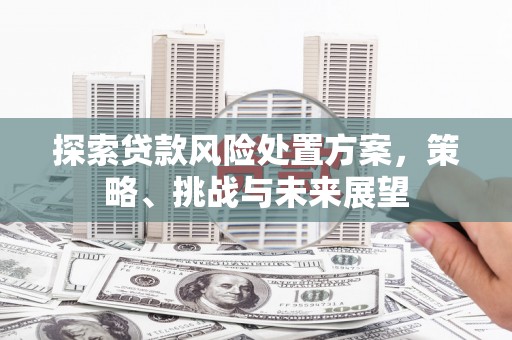 保税港区探索贷款风险处置方案，策略、挑战与未来展望