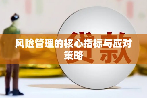 保税港区风险管理的核心指标与应对策略
