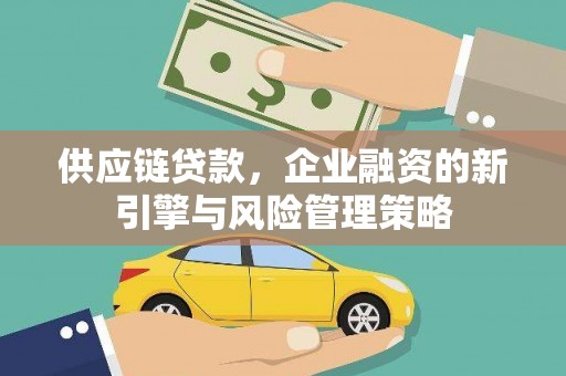 保税港区供应链贷款，企业融资的新引擎与风险管理策略