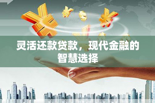 保税港区灵活还款贷款，现代金融的智慧选择