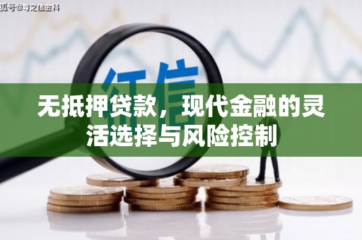 保税港区无抵押贷款，现代金融的灵活选择与风险控制