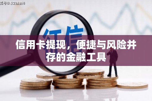保税港区信用卡提现，便捷与风险并存的金融工具
