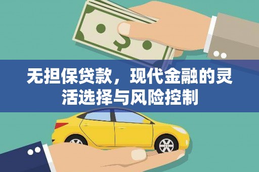 保税港区无担保贷款，现代金融的灵活选择与风险控制