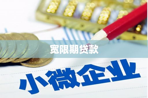 保税港区宽限期贷款