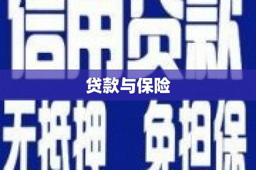 保税港区贷款与保险