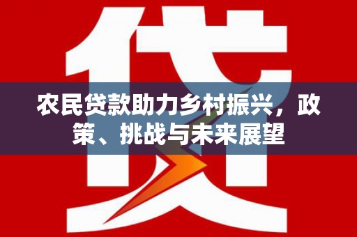 保税港区农民贷款助力乡村振兴，政策、挑战与未来展望