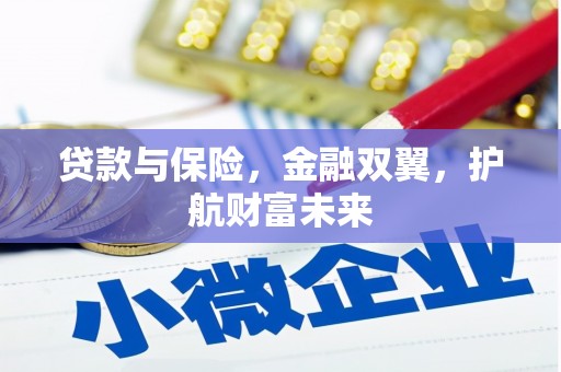 保税港区贷款与保险，金融双翼，护航财富未来