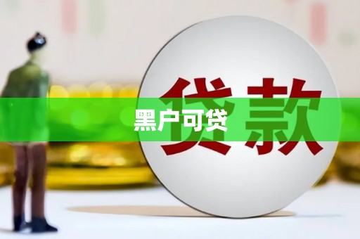 保税港区黑户可贷