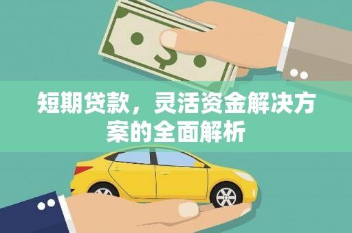 保税港区短期贷款，灵活资金解决方案的全面解析