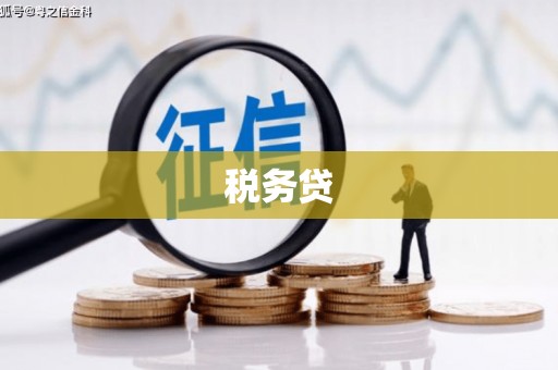 保税港区税务贷