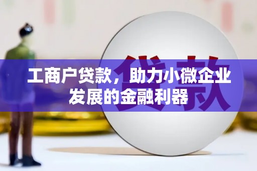 保税港区工商户贷款，助力小微企业发展的金融利器