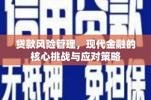 保税港区贷款风险管理，现代金融的核心挑战与应对策略