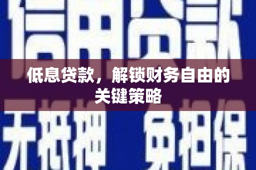 保税港区低息贷款，解锁财务自由的关键策略
