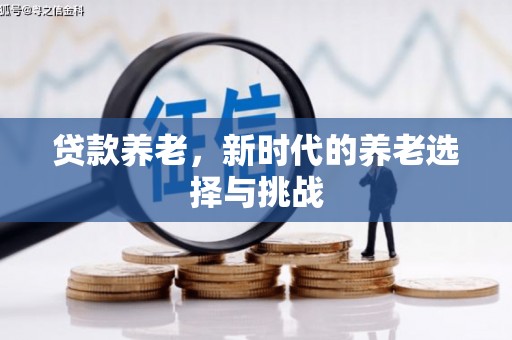 保税港区贷款养老，新时代的养老选择与挑战