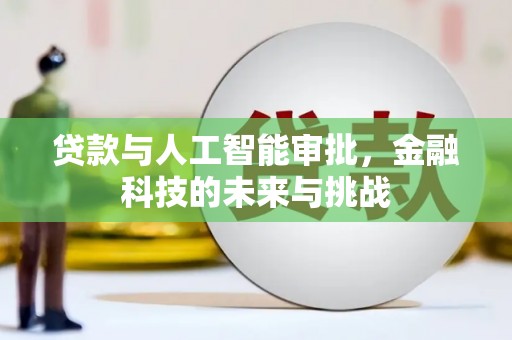 保税港区贷款与人工智能审批，金融科技的未来与挑战