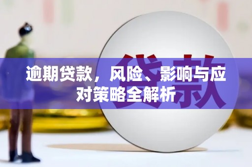 保税港区逾期贷款，风险、影响与应对策略全解析