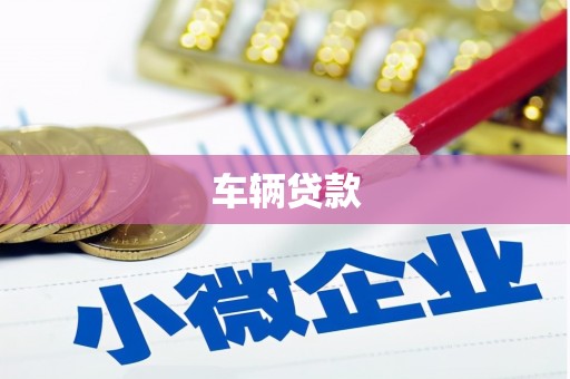 保税港区车辆贷款