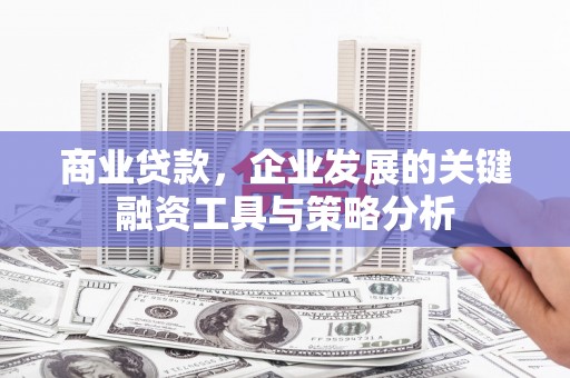 保税港区商业贷款，企业发展的关键融资工具与策略分析