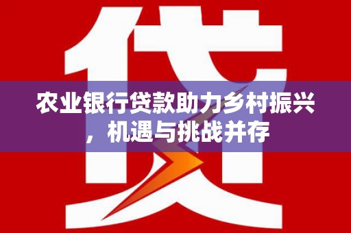 保税港区农业银行贷款助力乡村振兴，机遇与挑战并存