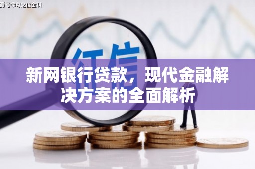 保税港区新网银行贷款，现代金融解决方案的全面解析