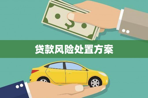 保税港区贷款风险处置方案