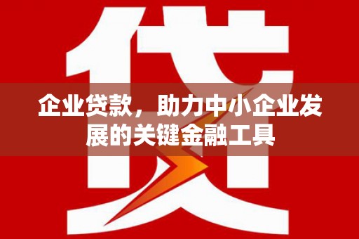 保税港区企业贷款，助力中小企业发展的关键金融工具
