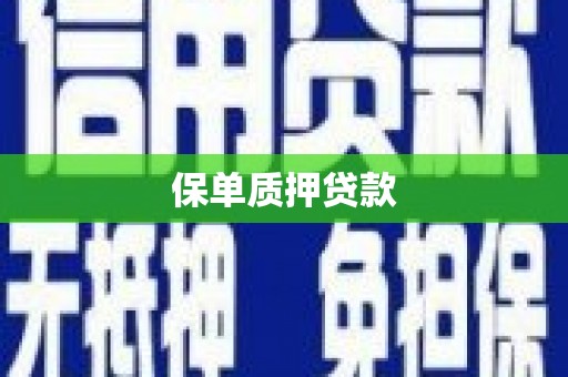 保税港区保单质押贷款