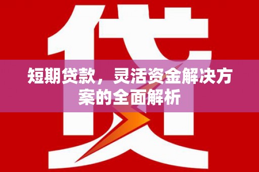 保税港区短期贷款，灵活资金解决方案的全面解析