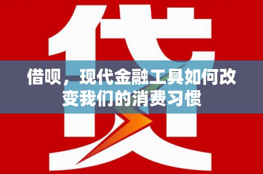 保税港区借呗，现代金融工具如何改变我们的消费习惯
