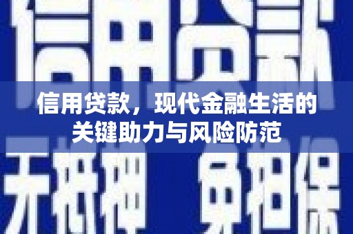 保税港区信用贷款，现代金融生活的关键助力与风险防范