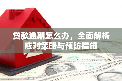 保税港区贷款逾期怎么办，全面解析应对策略与预防措施