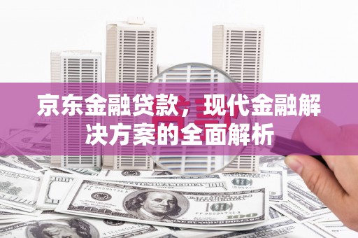 保税港区京东金融贷款，现代金融解决方案的全面解析