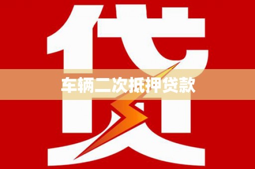 保税港区车辆二次抵押贷款