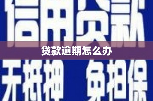保税港区贷款逾期怎么办