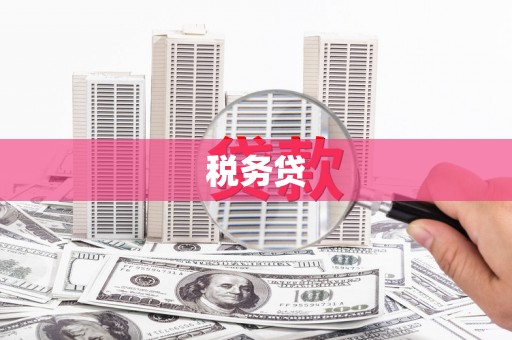 保税港区税务贷