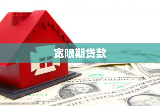 保税港区宽限期贷款