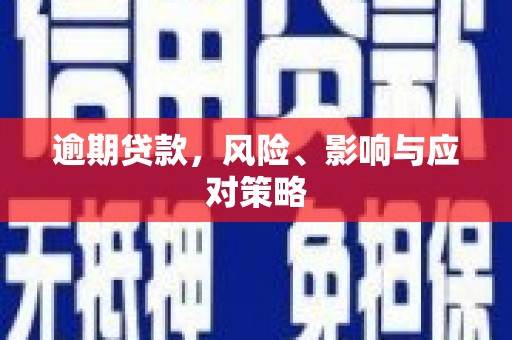 保税港区逾期贷款，风险、影响与应对策略