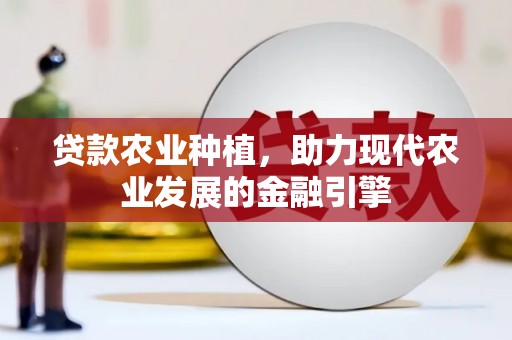 保税港区贷款农业种植，助力现代农业发展的金融引擎