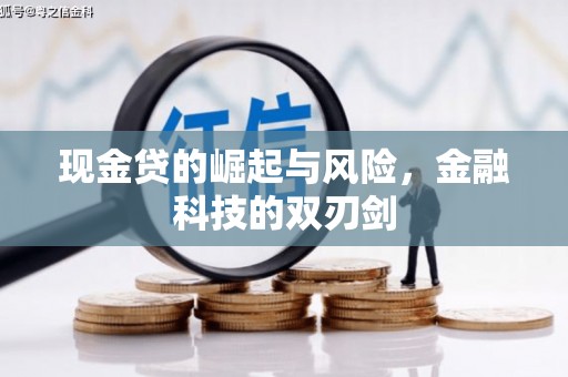 保税港区现金贷的崛起与风险，金融科技的双刃剑