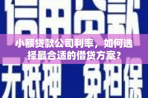 保税港区小额贷款公司利率，如何选择最合适的借贷方案？