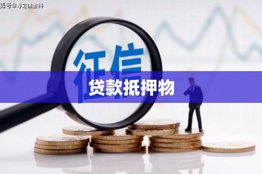 保税港区贷款抵押物
