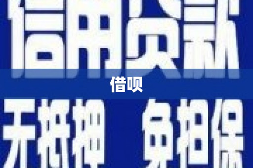 保税港区借呗