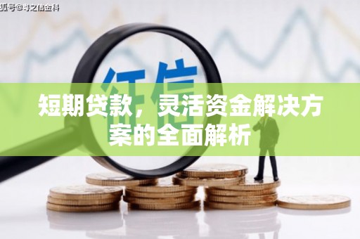 保税港区短期贷款，灵活资金解决方案的全面解析