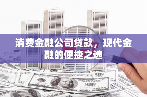 保税港区消费金融公司贷款，现代金融的便捷之选