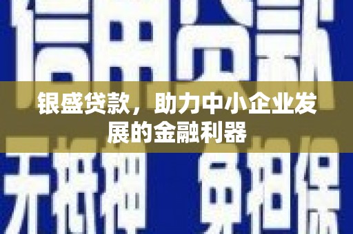 保税港区银盛贷款，助力中小企业发展的金融利器
