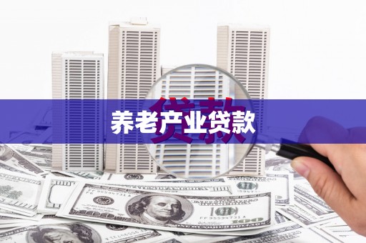 保税港区养老产业贷款